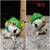 Tokidoki and Hello Kitty 10 thumbnail