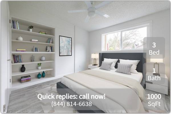 Looking for a lovely 3 Bed / 1 bath? Search no more! 1000 Sq Feet 1