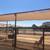 Horse stalls 1 thumbnail