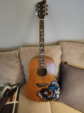 Jay Turser Drednaught 1