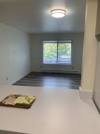 $1,150 / 1br - 550ft2 - 1 bed/1 bath 55+ Community in Everson (Everson)63920958344706122