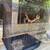 Nice bird cage with accessories 2 thumbnail