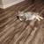 Rehoming female cat 1 thumbnail