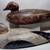 old  DUCK DECOY COLLECTION OVER 50 9 thumbnail