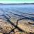 Cabin, private, woods, trails, 2000 Acre Duck Lake, kayaking, concerts 23 thumbnail