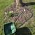 Scotts Turf Builder EdgeGuard Mini Lawn Seed, Fertilizer Spreader 6 thumbnail