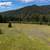 18.80 stunning acres near Wallace, Idaho! 2 thumbnail