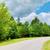 Build your mountain retreat on a beautiful wooded lot! Lot 149 6 thumbnail