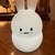 Smoko Milo Corgi  & LumiPets Bunny Ambient Lights or Night Lights 8 thumbnail