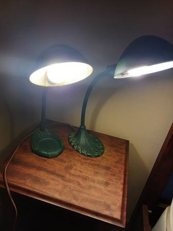 Goose neck lamps 1