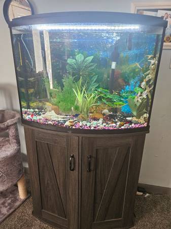 acuario bowfront de 36 galones. (Lincoln)63857444874371120