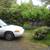 Cottage, Private Yard, Hot-tub 12 thumbnail