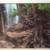 Gooseberry Falls framed photo Jay Anderson photographer forest scene 2 thumbnail