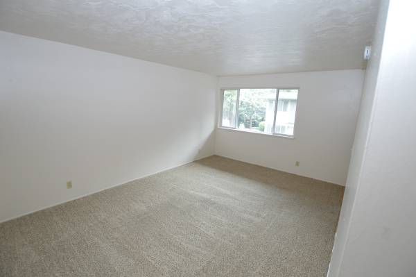$995 / 1br - ¡Apartamento económico en planta baja en ubicación privilegiada! (Eugene)63977273934210121