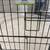 Pet Exercise Pen 24” Split Door Top Paw 8 Panel 2 thumbnail