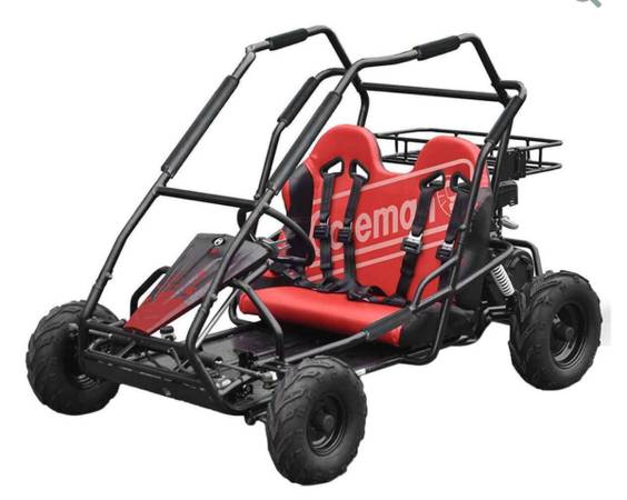 Super clean Coleman Powersports 196cc 2-Seater Gas-Powered Go Kart 1