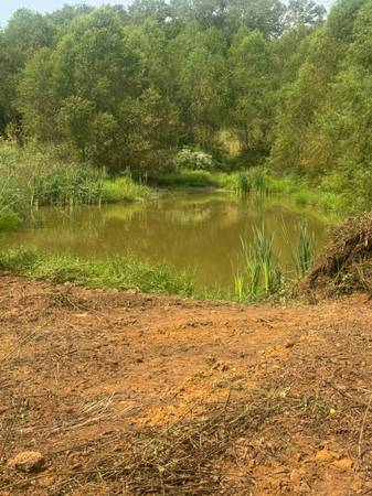 POND BUILDER AND CLEARING IN CLINTON 1