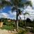 Landscaping 5 thumbnail