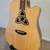 Luna Trinity Dreadnaught Irish A/E Guitar w/ HSC 2 thumbnail