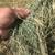 All Types of Hay for Sale - Delivery Available 5 thumbnail