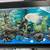 Fish tank 1 thumbnail