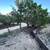 BANDERA RESIDENTIAL LOT FOR SALE 5 thumbnail