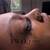 $75.00 LASHES HYATTSVILLE ANY SET 10 thumbnail