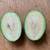 Pineapple Guava AKA Feijoa Fruit Tree 8 thumbnail