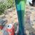 Tall Glass Vase 4 thumbnail