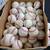 ⚾️ Baseballs- high quality full grain leather 1 thumbnail