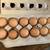 Free range brown eggs 1 thumbnail
