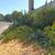 Lopez Landscape,  cleanups 22 thumbnail