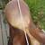 English saddle 5 thumbnail