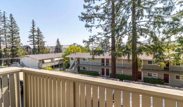 $2,375 / 2 habitaciones - 850 pies² - Iluminación moderna, refrigerador de acero inoxidable, lavadora y secadora (walnut creek)63667872693379122