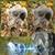 NEW Trail Camera, 5K 60MP Game Camera with No Glow Night Vision, 150°W 2 thumbnail