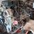 1996-2000 GM engine and transmission combo
 3 thumbnail