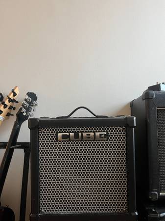 Roland Gx40 Cube Digital Modeling Amp 1