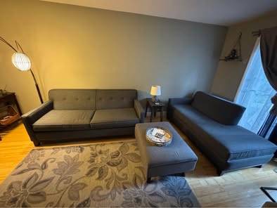 Raymour and Flanigan couch and chaise furniture set. Both pieces for 1