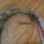 Jantaminiau Wristlet or Clutch, Army Green Bag, World Care Backpack 17 thumbnail