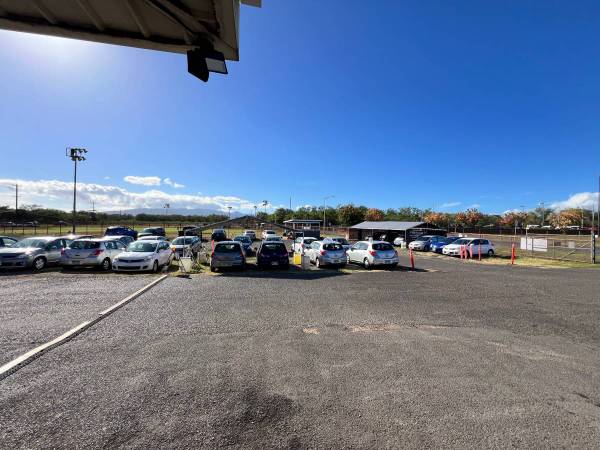 CAR RENTALS (Licensed Company) 1