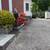 Yard Cleanup? Call or Text for estimate 5 thumbnail