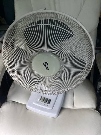 Oscillating Fans 1