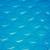 SWIMMING POOL BIG Plastic Child Water Swim Funsicle Dog Bath 59 INCH 4 thumbnail
