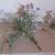 Floral Arrangement 5 thumbnail