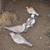 8  Ring- Neck Doves  Peach & Tan Very Tame. 2 thumbnail