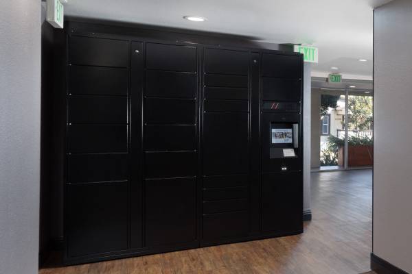 1/bd, Two-tone designer paint, Abundance natural light 1