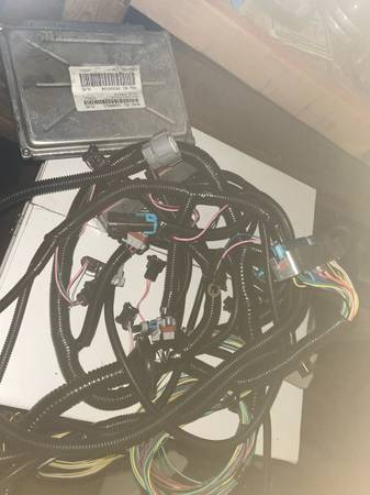 Selling new DBW LS stand alone harness 1