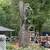 Tree and stump removal 2 thumbnail