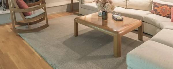 Rug - 10' x 12' 1