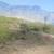 TWO 1/2 ACRE LOTS 3 thumbnail